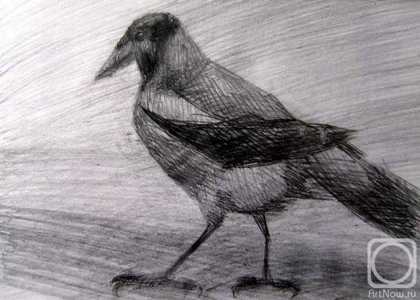 �������. ������ ����. ������