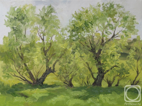 ������� ������ �� ������. ������� �������. ��������� ���