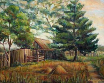 Backyard. Grows dark. Maksimova Anna