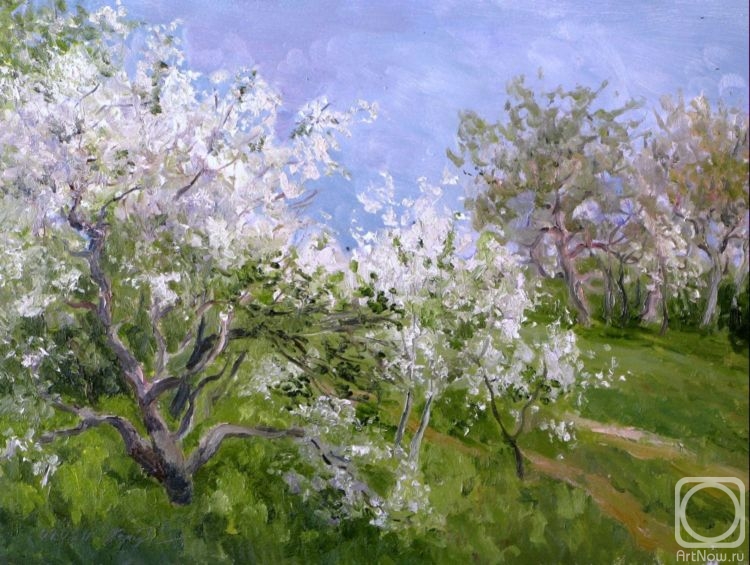 �������. �������������� ������. ����� �������