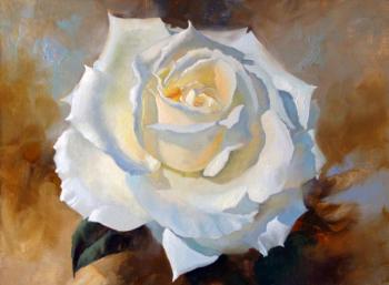 Impressed by I. Levashov