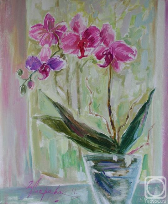 ������� ������ �� ������. ������� �������. �������