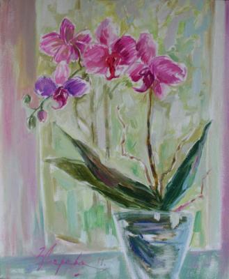 ������� ���������