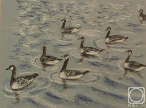 Lukaneva Larissa. 463 (Canada Geese)