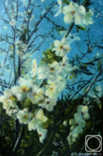 ������� ������ �� ������. ��������� ����. ���