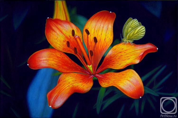 ������� ������ �� ������. ���������� ��������. ������� �����