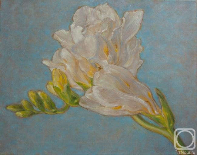 ������� ������ �� ������. ������������ ������. ������