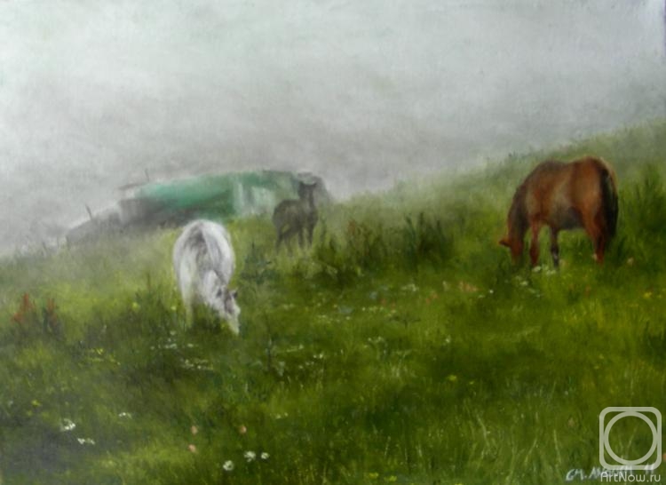 Gharagyozyan Anoush. In the mountains