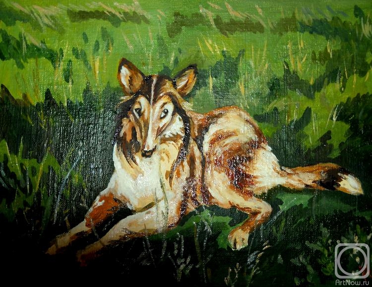 ������� ������ �� ������. ������ ������. �����