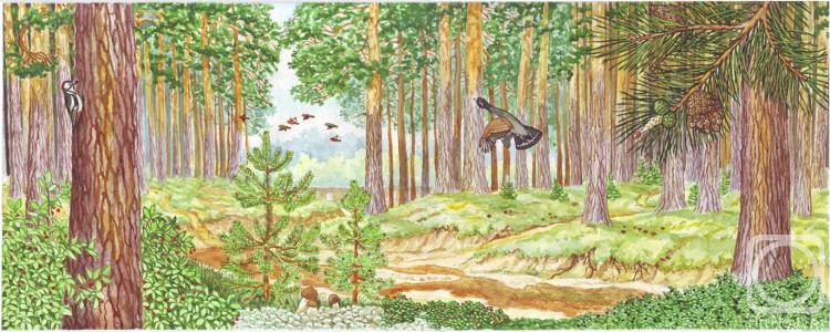 �������. ����� �������. ������