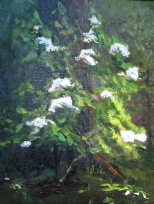 ������� ������ ������