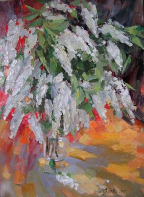 Bouquet of cherry blossoms