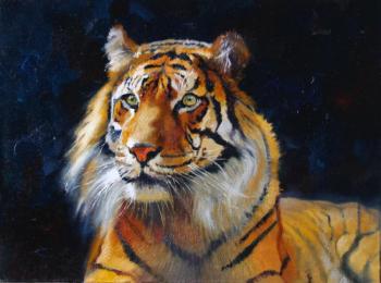 Tiger. Iakovlev Andrey