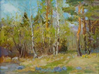 ��� �� ����������� (������ � ���������). ��������� �������