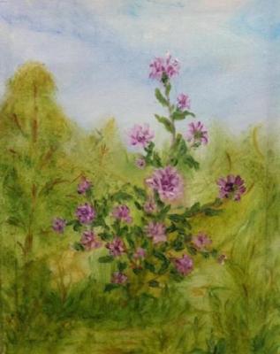 ���� ��������� � ������� ����. ������ ����