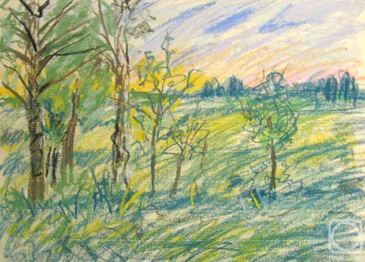 Karaceva Galina. Almost a summer night