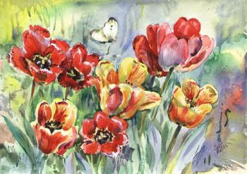 Tulips in the garden1