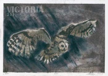 owl. Sova Victoria