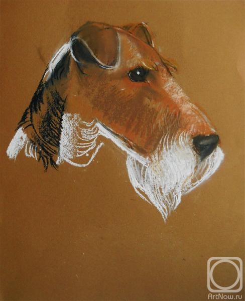 Voronova Oksana. Fox Terrier