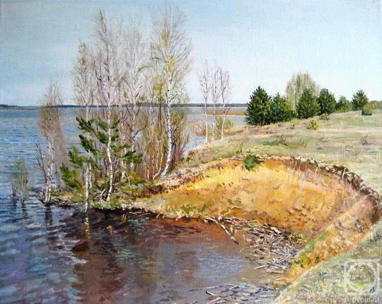 Vankhonen Alexey. Birches on coast