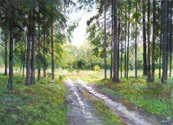 After a rain (Fur-Trees). Vankhonen Alexey