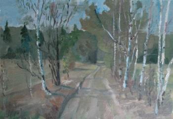 Birch trees along the road. Klenov Valeriy