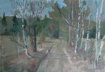 Birch trees along the road