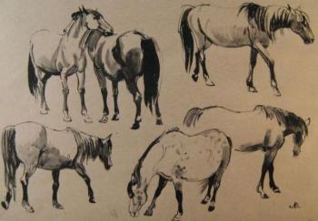 Village Horses (sketch). Lapovok Vladimir