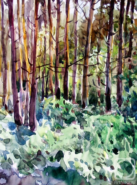 �������. ����������� ����. ����� ��������� -17/91