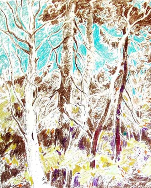 Vrublevski Yuri. Pine forest. Mozhaisk, 91