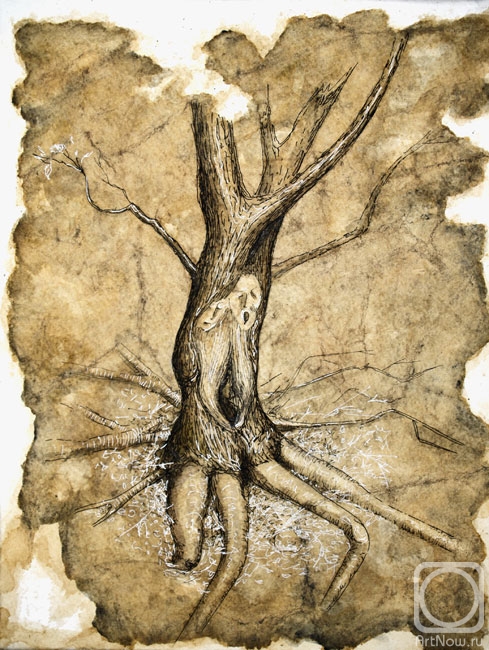 �������. �������� �����. ������