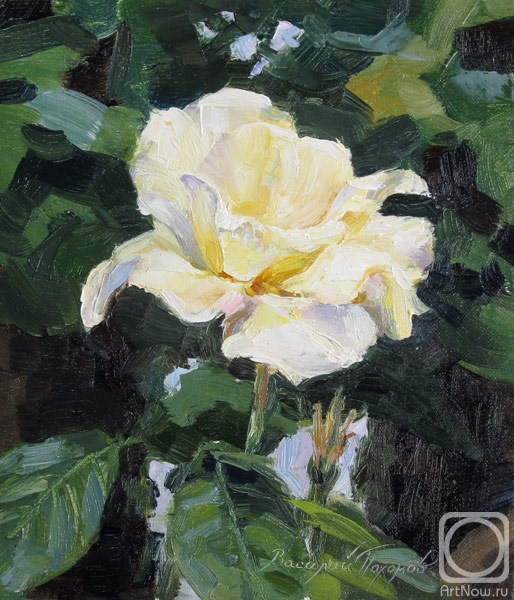 ������� ������ �� ������. ������� �������. �����������