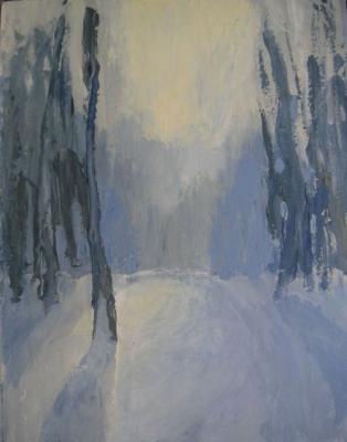 Frost in the park. Zhdanov Alexander
