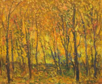 At a forest autumnal