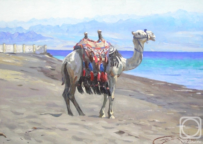 Ershov Vladimir. T18 Gulf of Aqaba