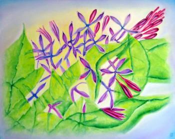 ������� ������