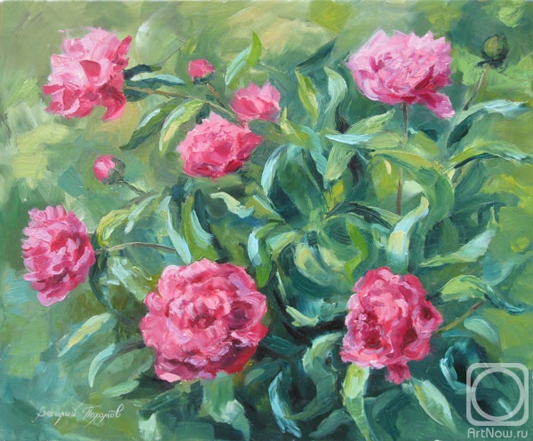 ������� ������ �� ������. ������� �������. ������� �����.�����