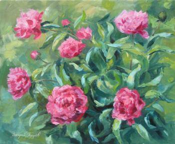 ������� �������� �����.������