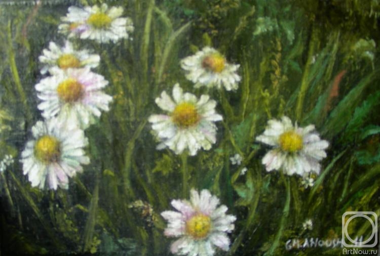 ������� ������ �� ������. ��������� ����. �������