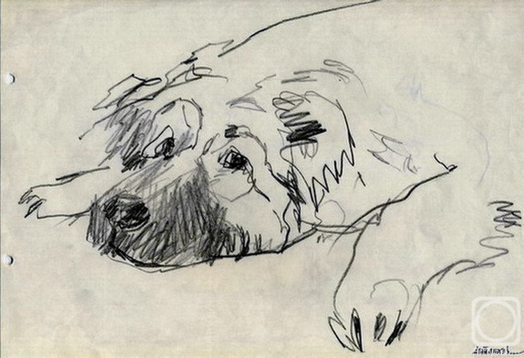 �������. �������� ���������. JOYka