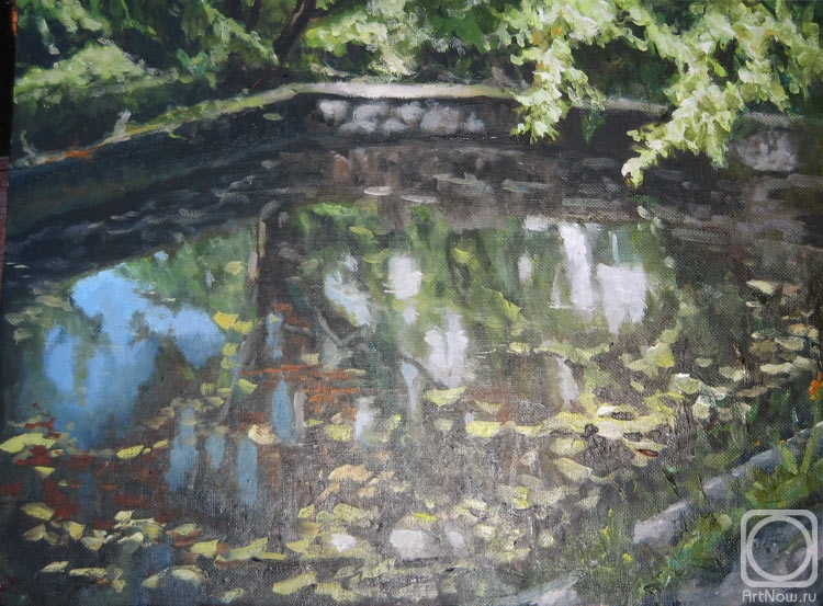 Gvozdetskaya Irina. Neglected pond