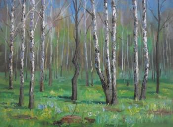 Birch grove. Chernyy Alexandr