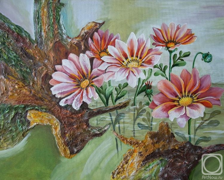 �������. ������� ���������. Gazania