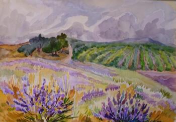 Lavender and vineyards. Limonova Elena