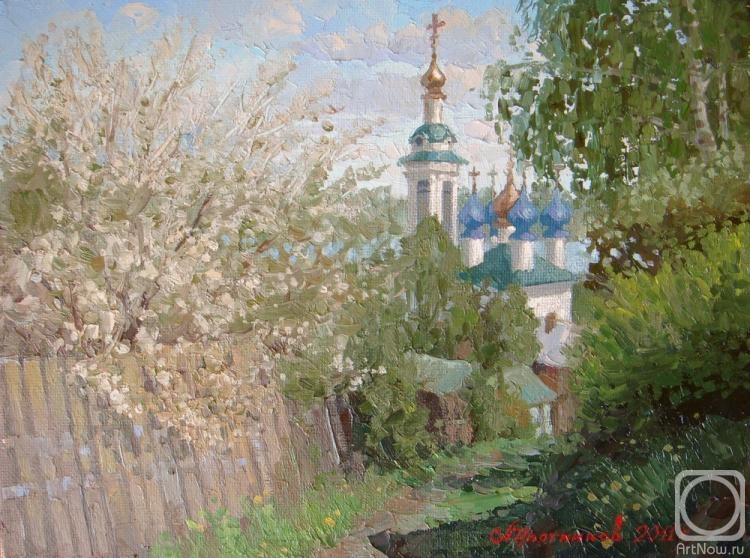 Plotnikov Alexander. Spring in Ples