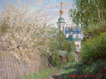 Spring in Ples. Plotnikov Alexander