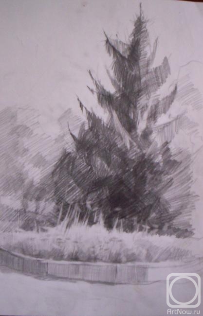 �������. ������� �����. ��������� ���������