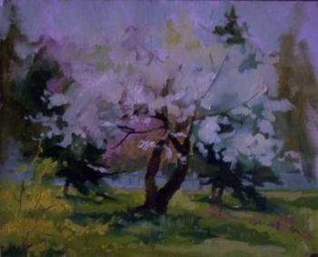 ������� ����� "�������� ������"�