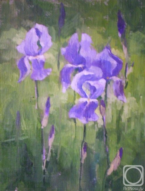 ������� ������ �� ������. ������� �����. �����