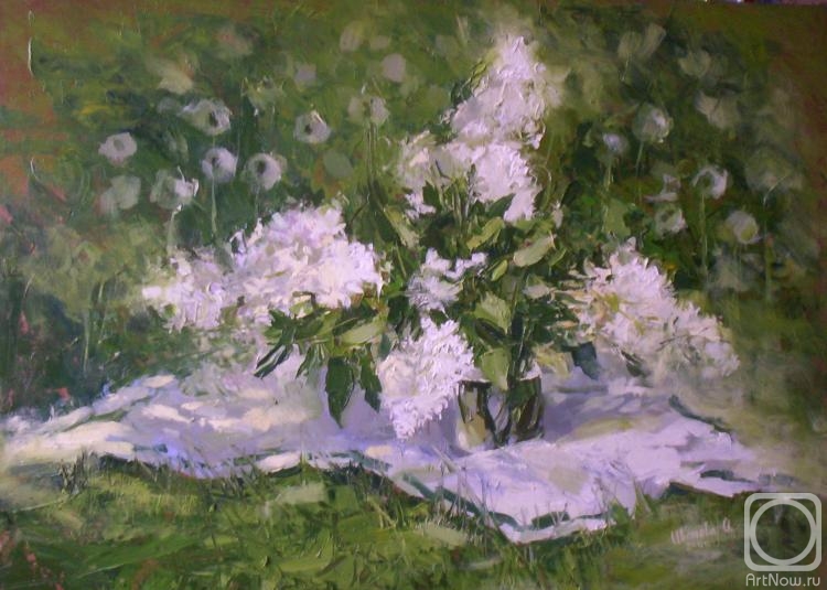 Ivanova Olesya. White lilac